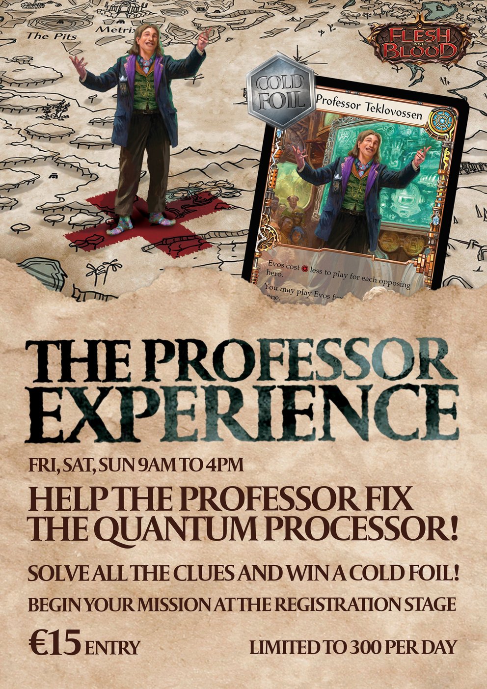 The Professor Experience