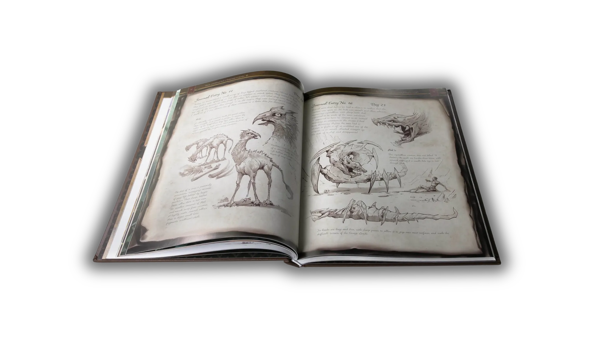 Appreciation Kit - Book 2